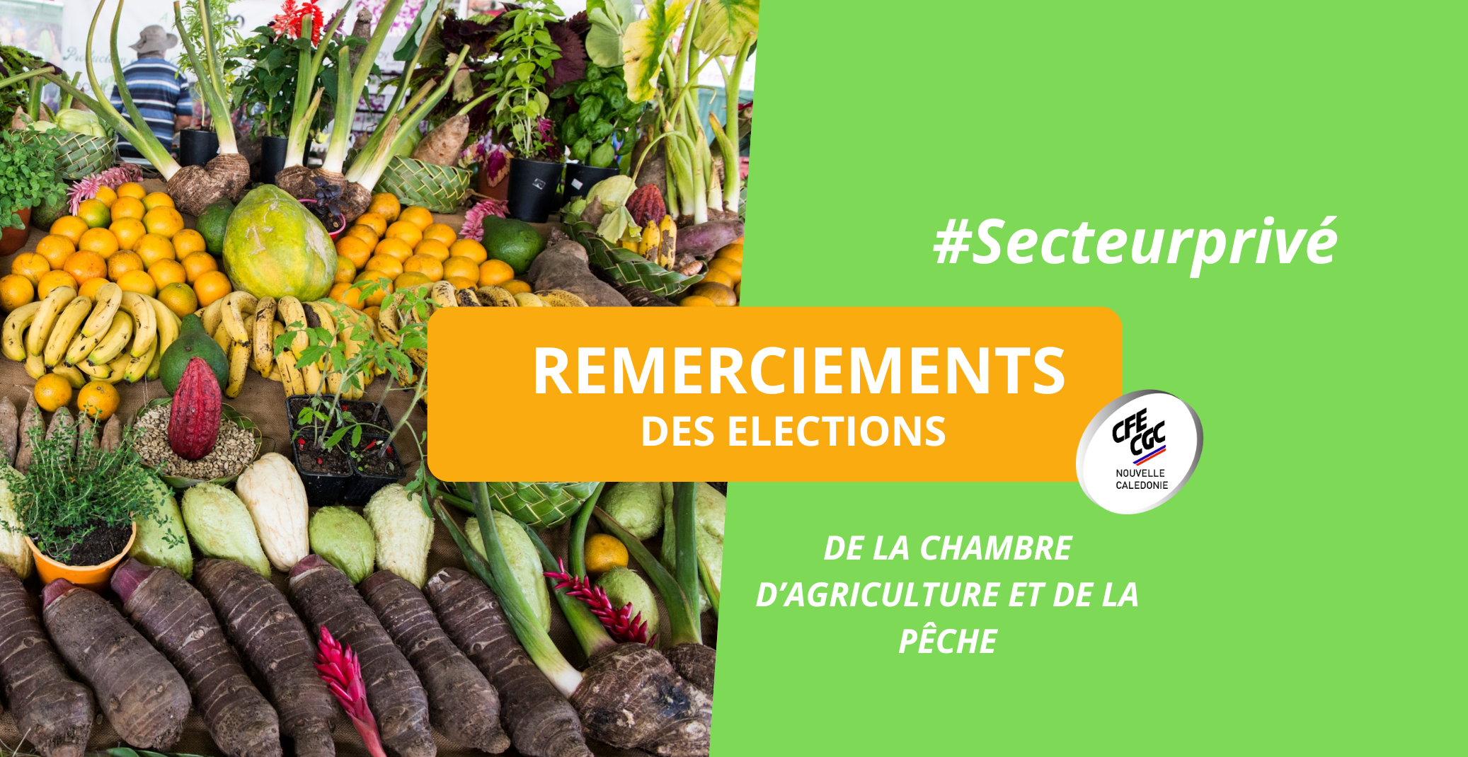 Elections Chambre de l’Agriculture et de la Pêche – NC. Merci à tous les votants !